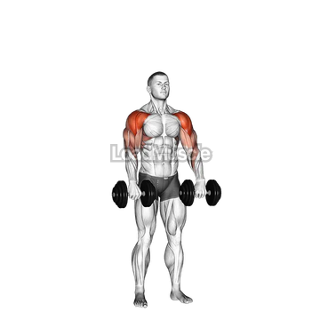 Dumbbell Cuban Press