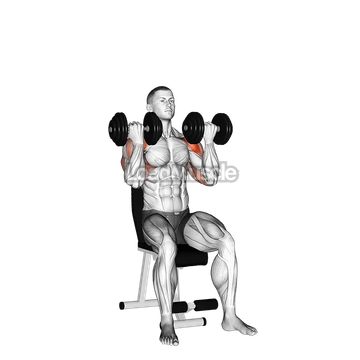 Dumbbell Arnold Press