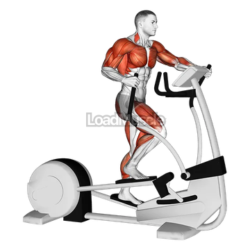 Walk Elliptical Cross Trainer