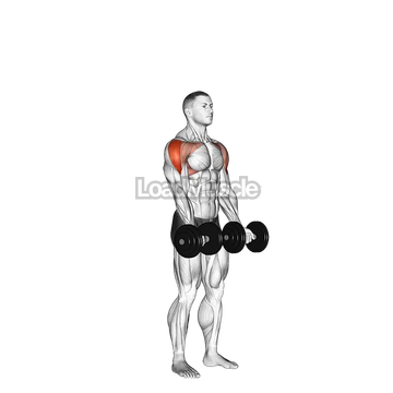 Dumbbell Standing Around World