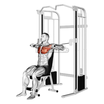 Cable Seated Chest Press
