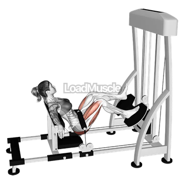 Lever Single Leg Hip Thrust
