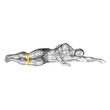 Resistance Band Clam