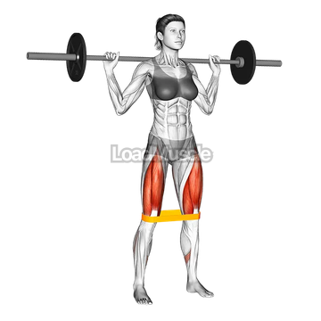 Resistance Band Full Squat
