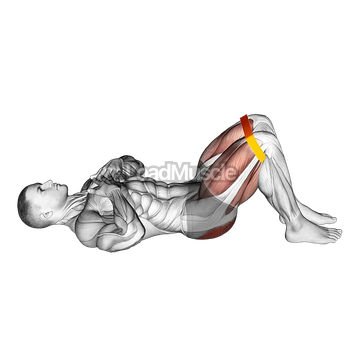 Resistance Band Glute Bridge