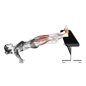 Resistance Band Supine Hip Bridge March