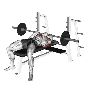 Barbell Reverse Close-grip Bench Press
