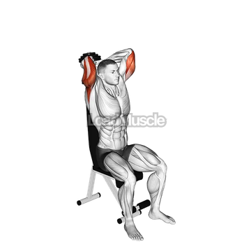 Dumbbell Seated Triceps Extension