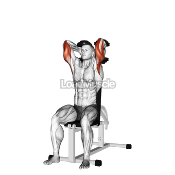 Dumbbells Seated Triceps Extension