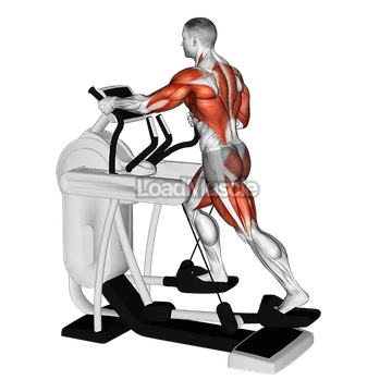 Elliptical Machine Walk