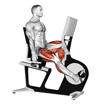 Bicycle Recline Walk