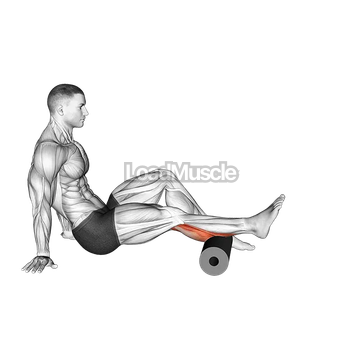Roll Calves (Single Leg)