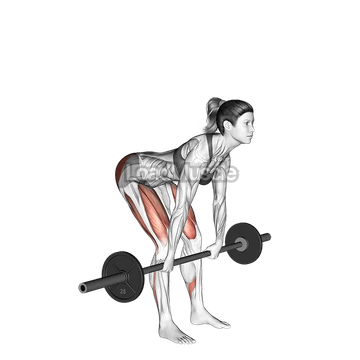 Barbell Romanian Deadlift