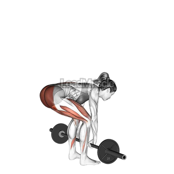 Barbell Deadlift