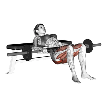 Barbell Hip Thrust