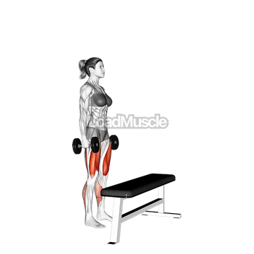 Dumbbell Step-Up