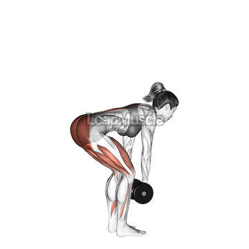 Dumbbell Romanian Deadlift