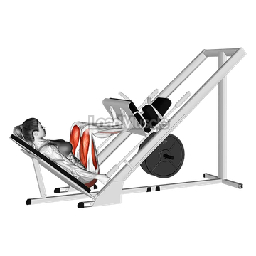 Sled 45 degrees Leg Press
