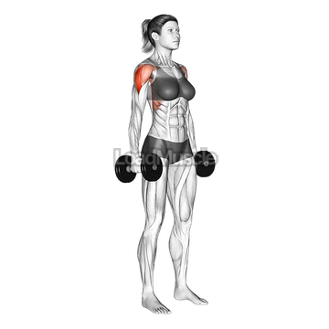 Dumbbell Standing Lateral Raise