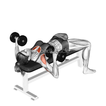 Dumbbell Bench Press