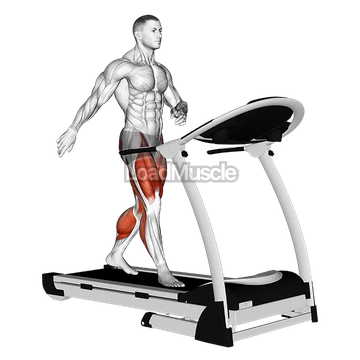 Walking on Treadmill