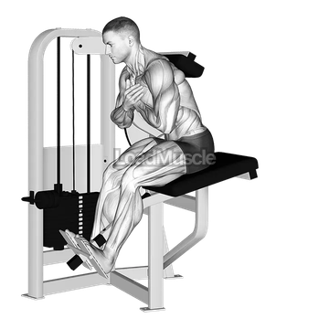 Lever Back Extension