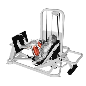 Lever Seated Leg Press