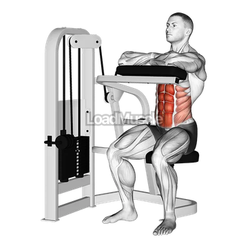 Lever Seated Crunch (hands pad)