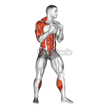 Right Uppercut. Boxing