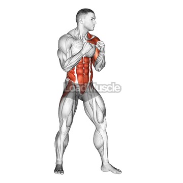 Left Uppercut. Boxing