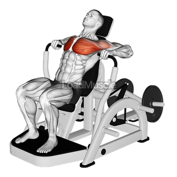 Lever Decline Chest Press