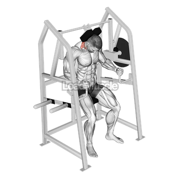 Lever Neck Extension (plate loaded)
