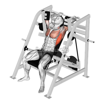 Lever Pullover (plate loaded)