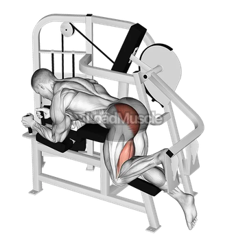 Lever Hip Extension