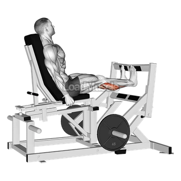 Lever Calf Press (plate loaded)