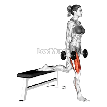 Dumbbell Bulgarian Split Squat