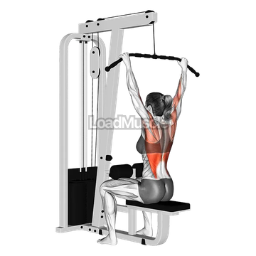 Cable Wide Grip Lat Pulldown