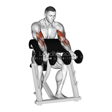 Dumbbell Zottman Preacher Curl