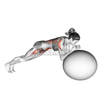 Stability Ball Rollout