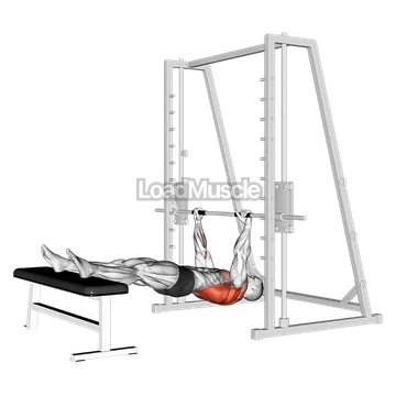 Inverted Row on Bench