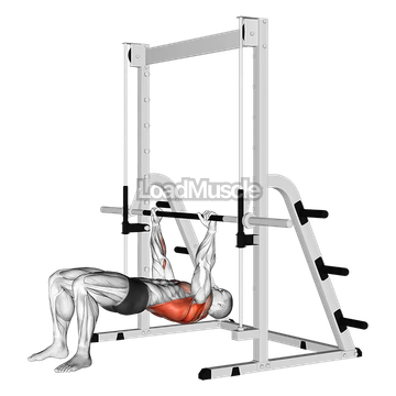 Inverted Row Bent Knees