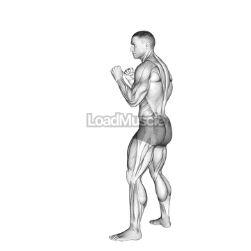 Rear Leg Hook Kick. Kickboxing