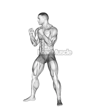 Front Leg Hook Kick. Kickboxing