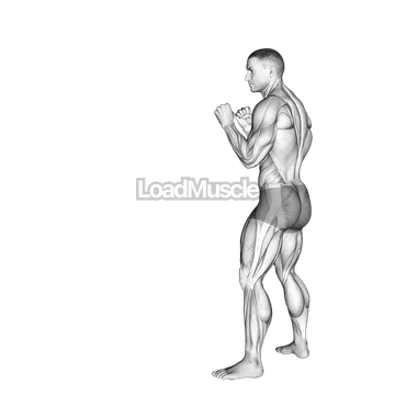 Front Groin Kick. Kickboxing