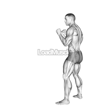 Roundhouse Kick. Kickboxing