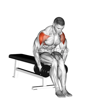 Dumbbell Seated Bent Arm Lateral raise