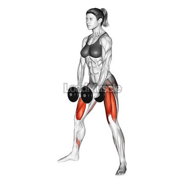 Dumbbells Sumo Squat