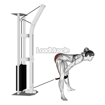 Cable Straight Legs Pull Through (with rope)