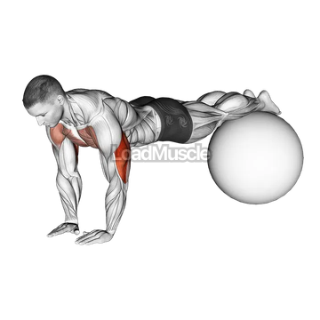 Narrow Push-Up on Exercise Ball