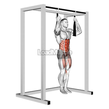 Arm slingers Hanging Straight Legs